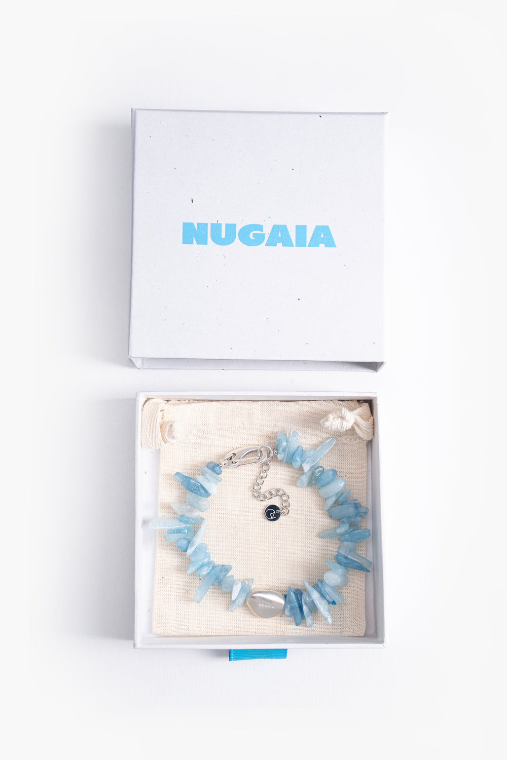 Blue Chromis Silver Anklet