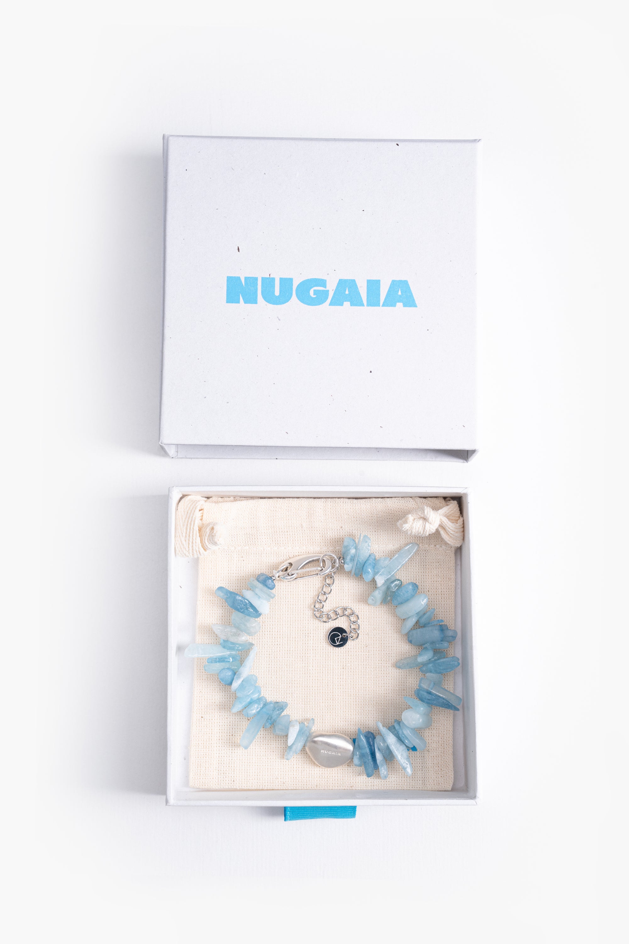 Blue Chromis Silver Anklet