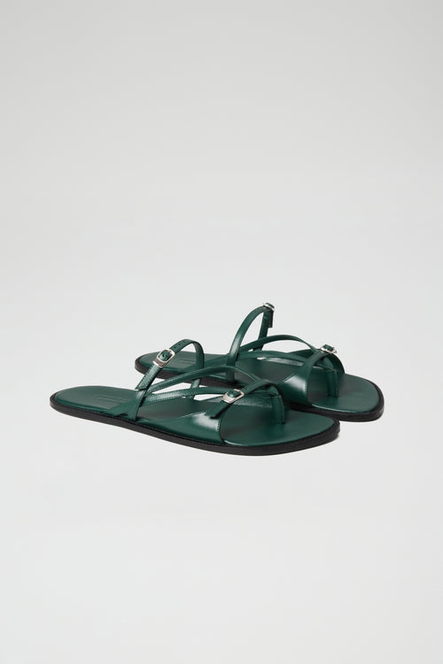 Ria Thong Straps Sandals in Pine Leather